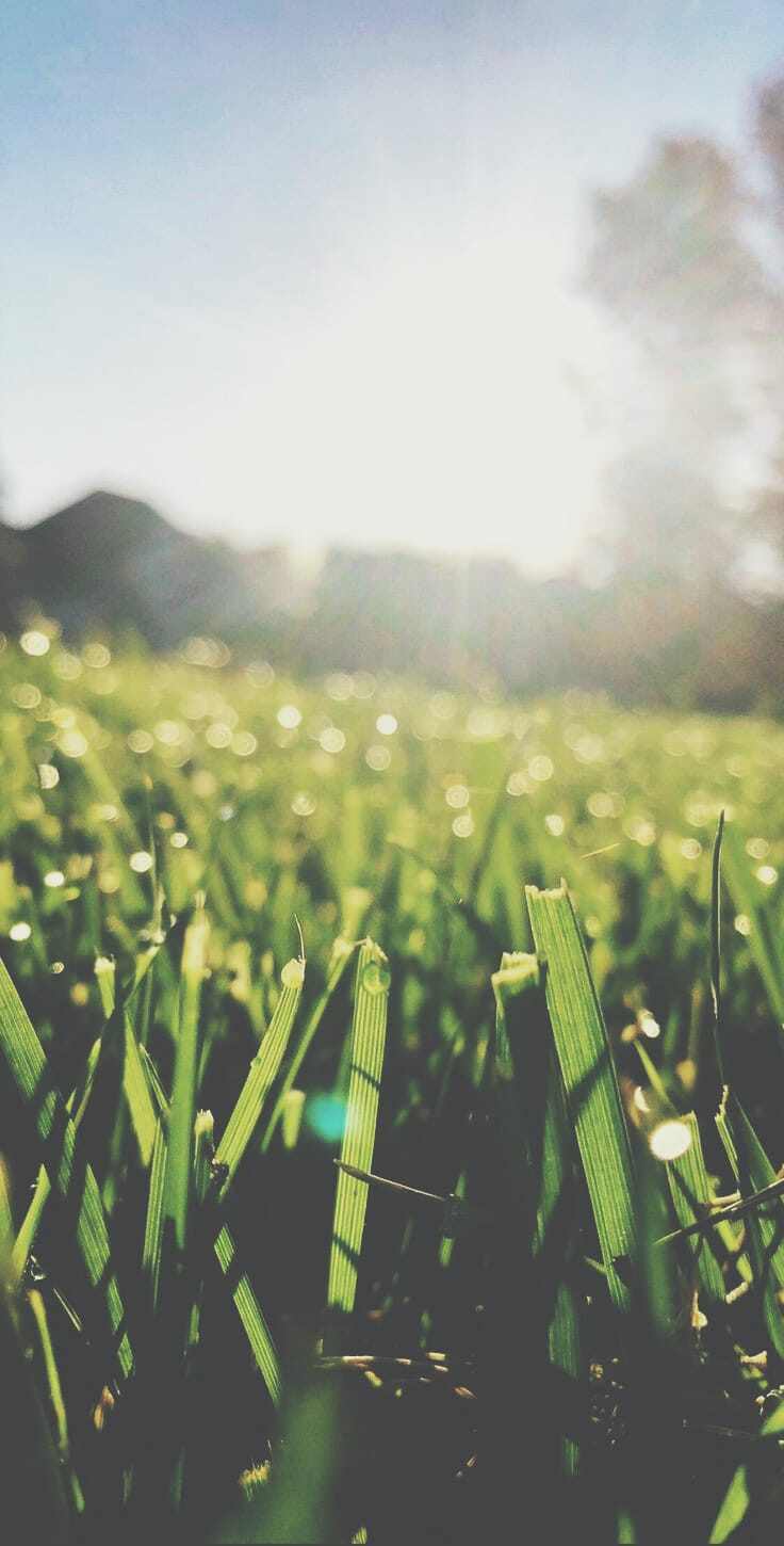 6393b038-72b4-4fef-9ca4-19bca1a6053b